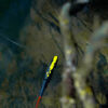 jaune3 Stick à Swim v1 Jaune