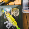 DSC01820 Sticker avec transfert : Stay Hooked - Or métallisé