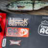 Stickers HOOK & DESTROY - Moka