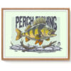 perch Print - PERCH FISHING